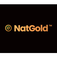 NatGold Digital Logo